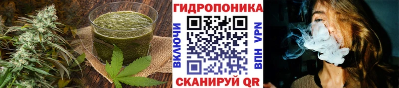 сколько стоит  darknet формула  Canna-Cookies марихуана  Полярные Зори 