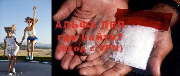 прущие грибы Арсеньев