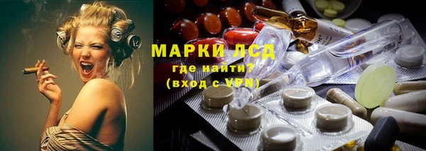 прущие грибы Арсеньев