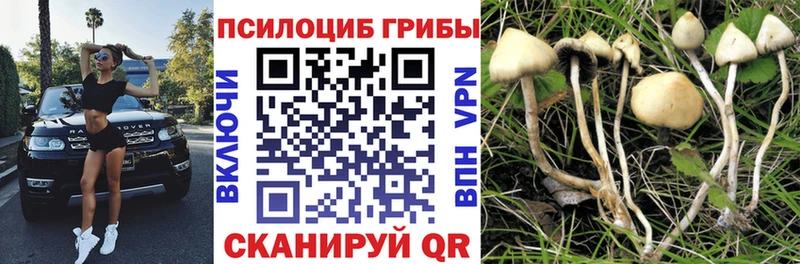 Псилоцибиновые грибы мицелий  наркошоп  Полярные Зори 